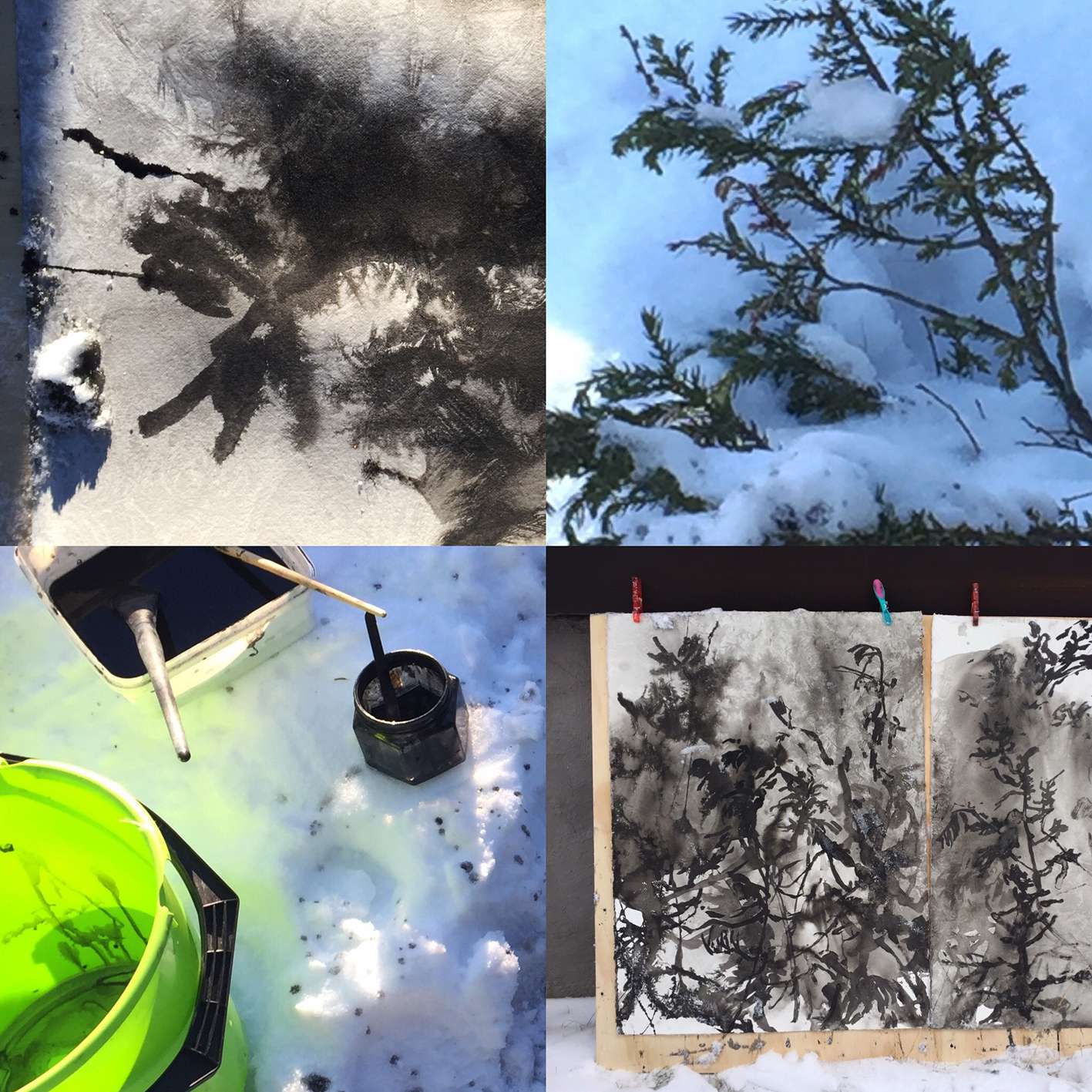 Skogen er min inspirasjonskilde