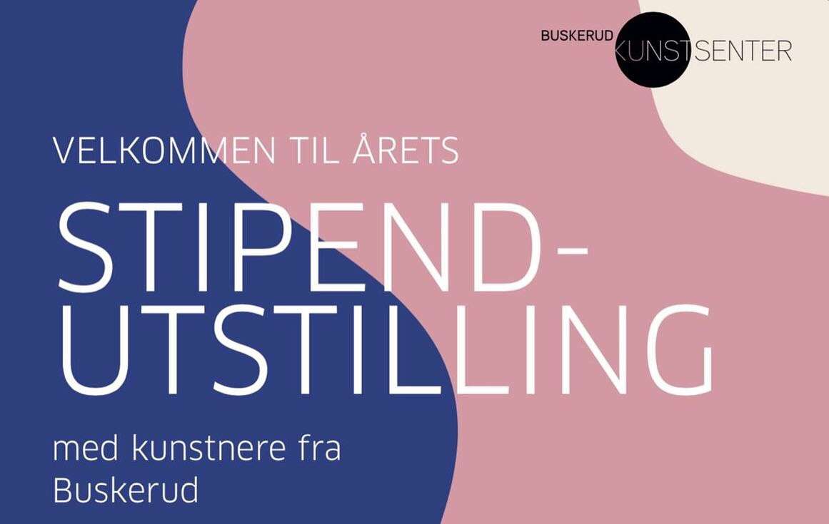 Stipendutstillingen Buskerud Kunstsenter